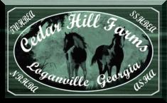 Cedar Hill Farms, Loganville, Georgia